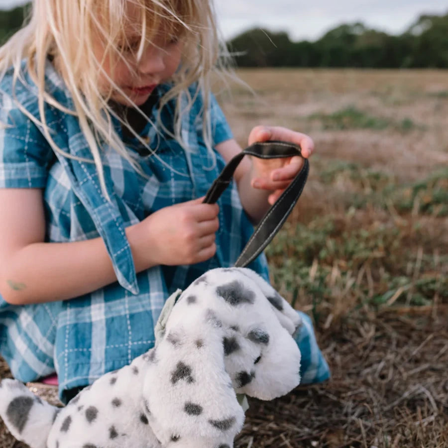 Debbie the Dalmation