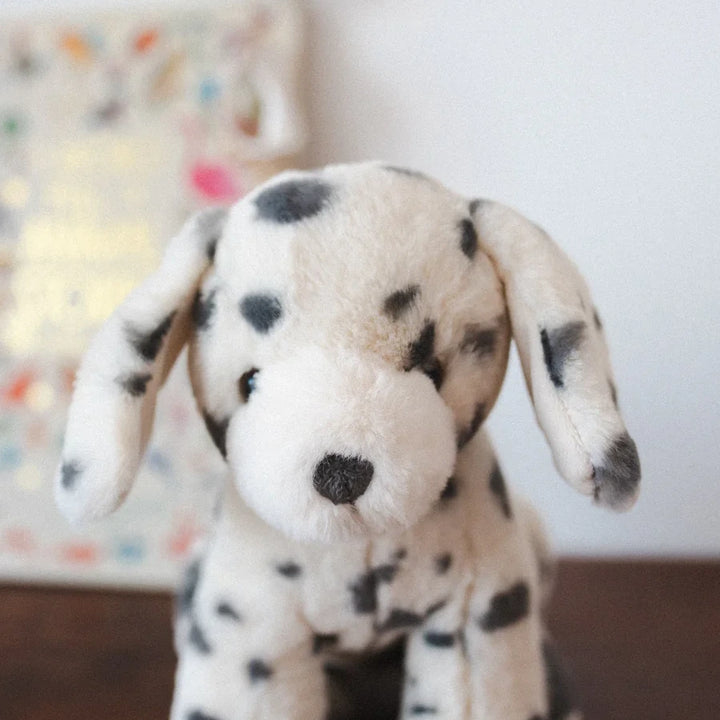 Debbie the Dalmation