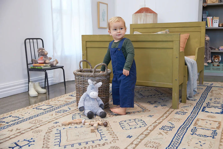 Diego the Donkey