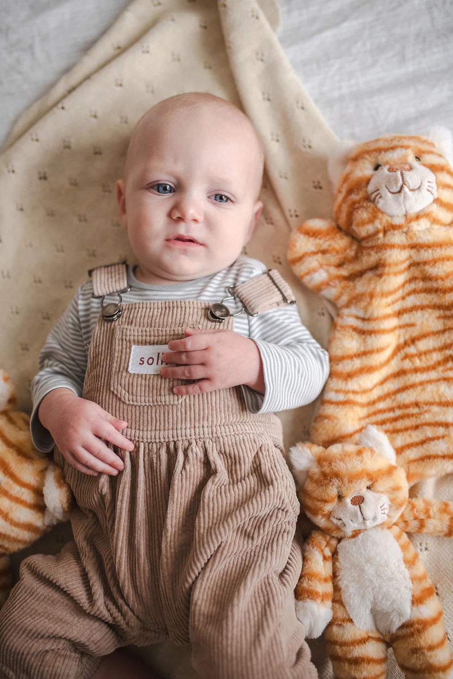 Ginger the Cat Hoochy Coochie