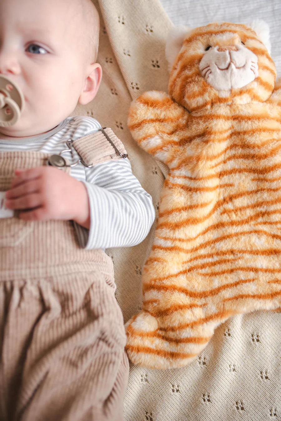 Ginger the Cat Hoochy Coochie