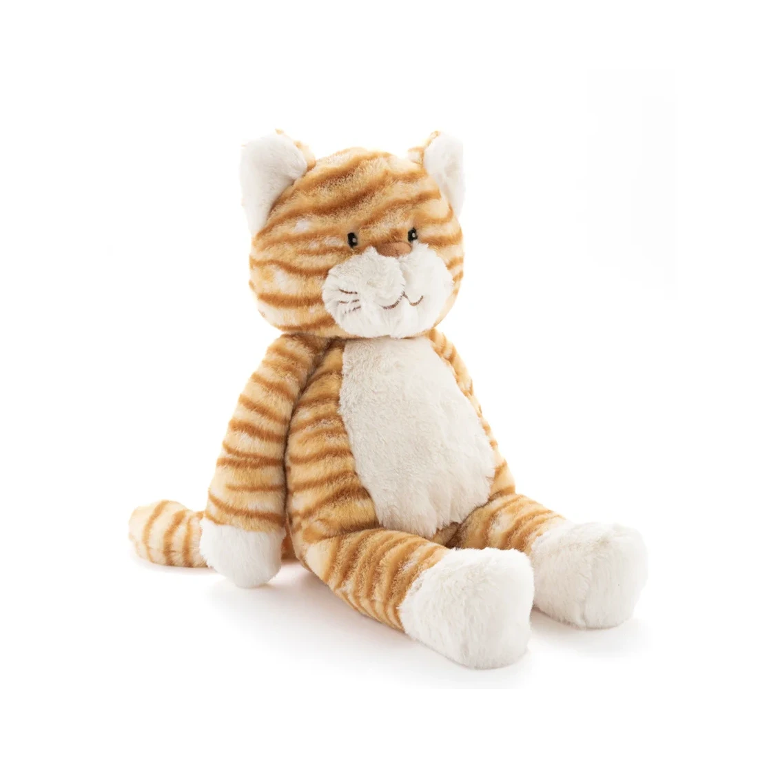 Ginger the Cat