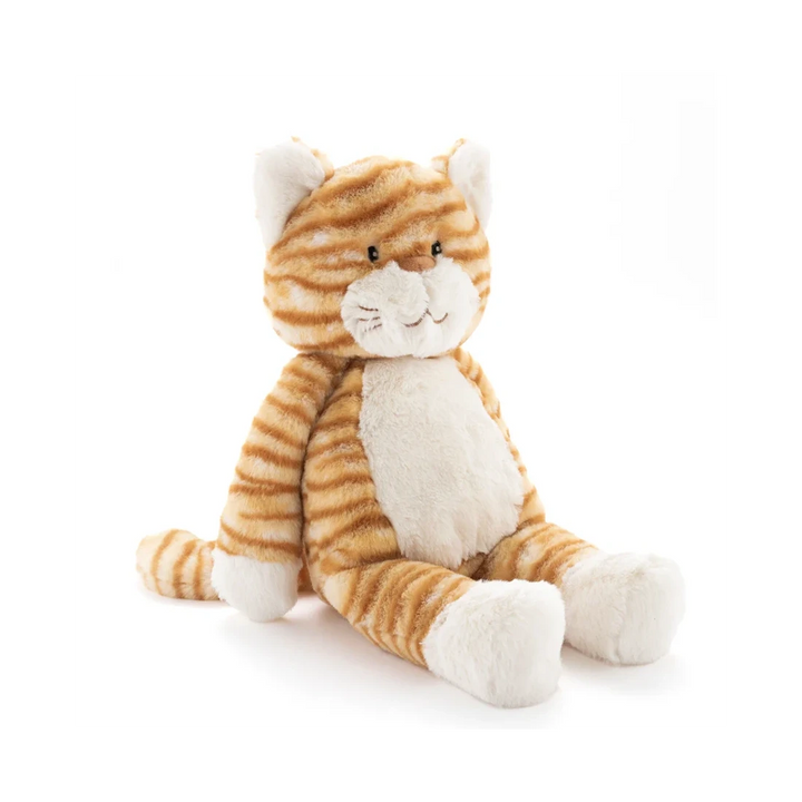 Ginger the Cat