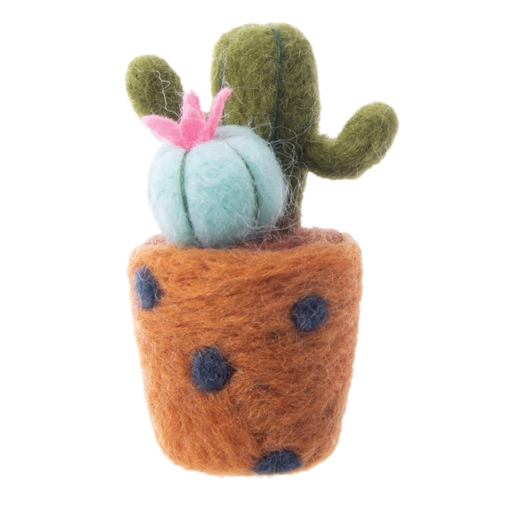 Felting Kit - Cactus
