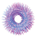 Sensory Anemone Bracelets - Assorted