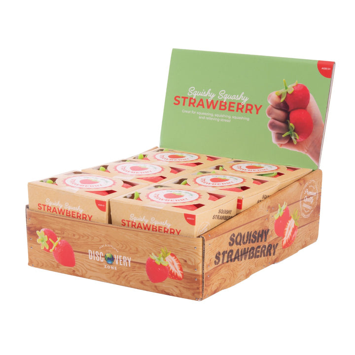 Squishy Strawberry Set of 4 - Assorted