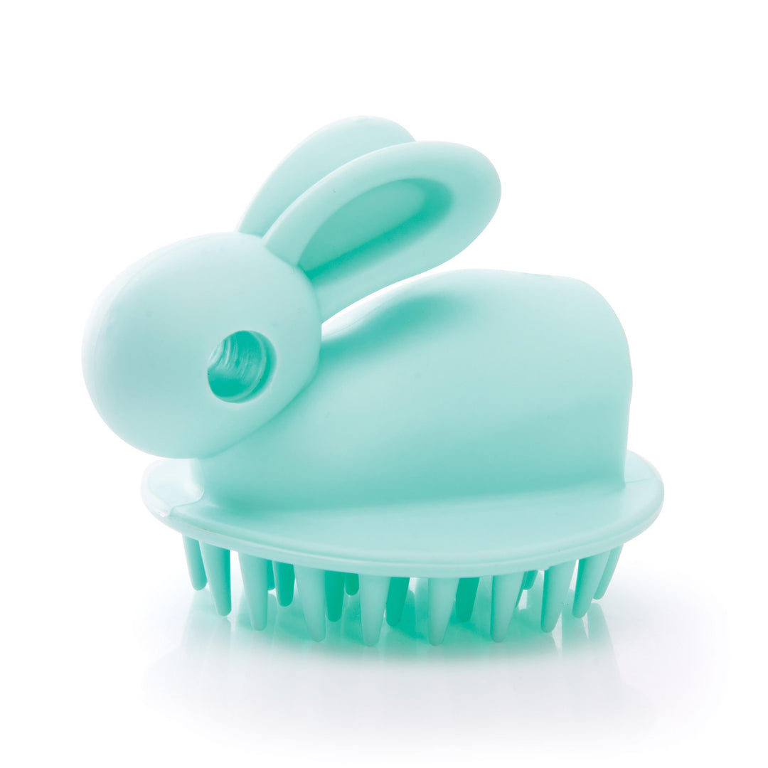 Wet or Dry Bunny Brush (Assorted)
