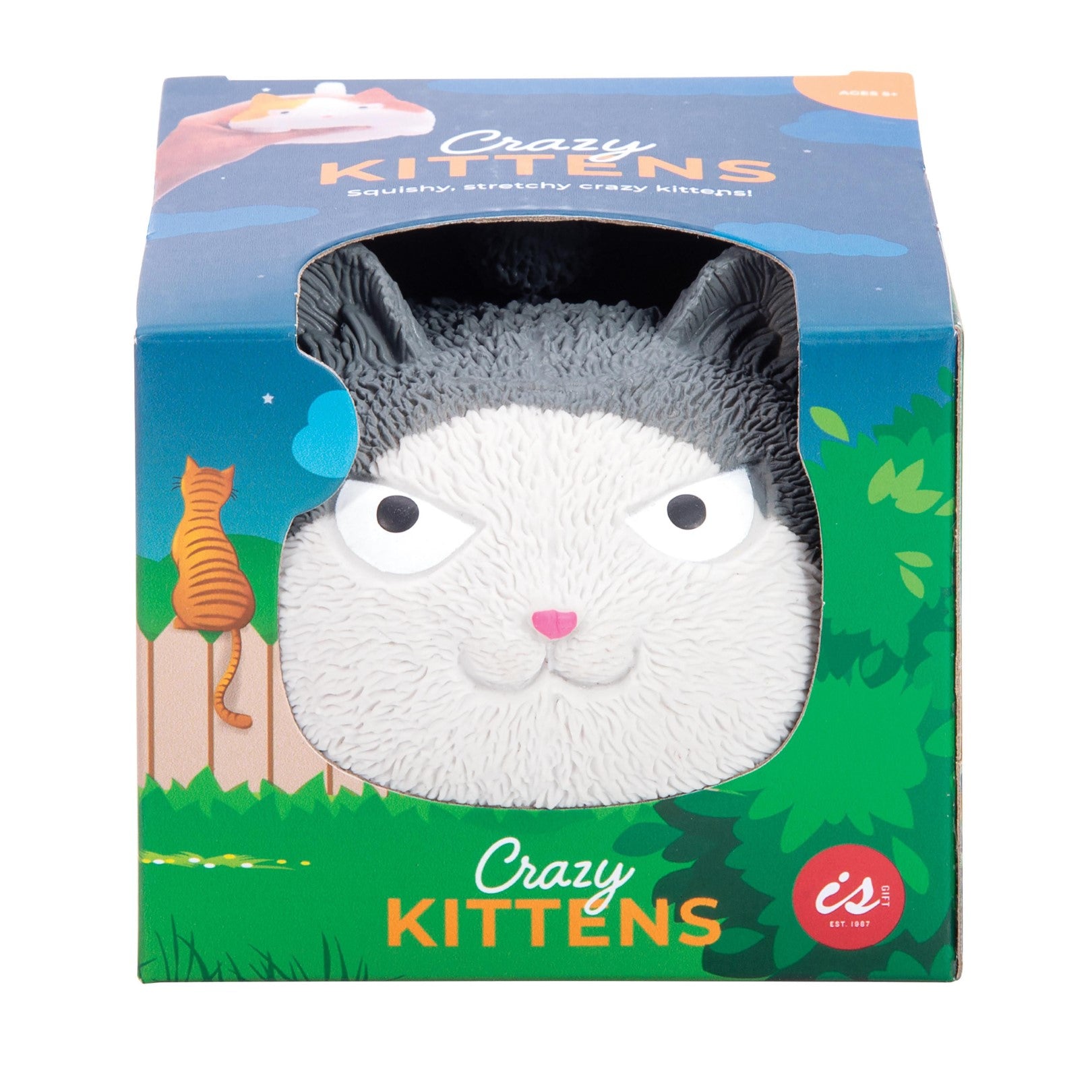 Crazy Kittens (Assorted)