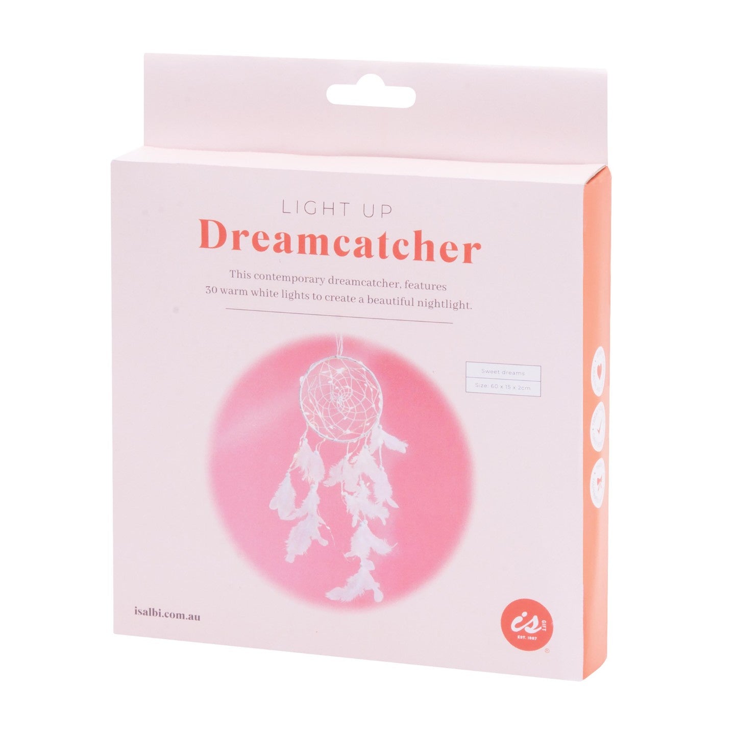 Light Up Dreamcatcher
