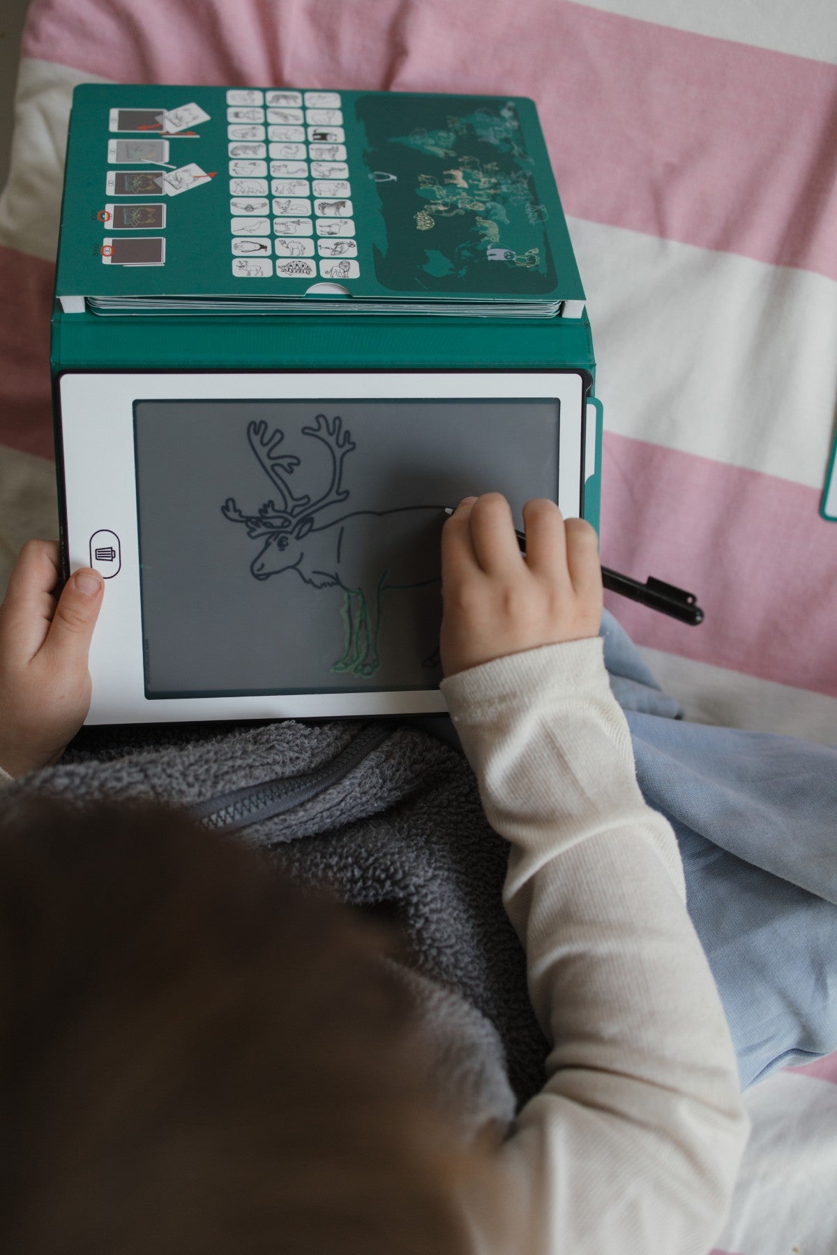 PRE-ORDER Kidydraw Mini - Animals around the World