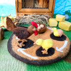 Felt Lifecycle of a Chicken