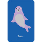 Little Genius Volume 2 - Snap Cards - Go Fish