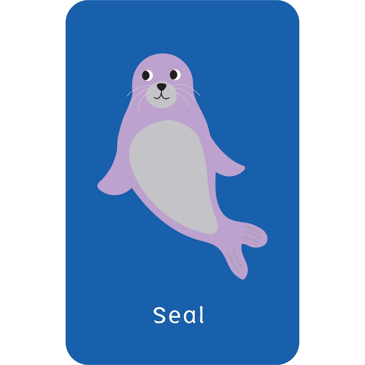 Little Genius Volume 2 - Snap Cards - Go Fish