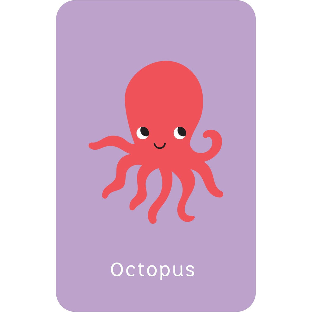 Little Genius Volume 2 - Snap Cards - Go Fish