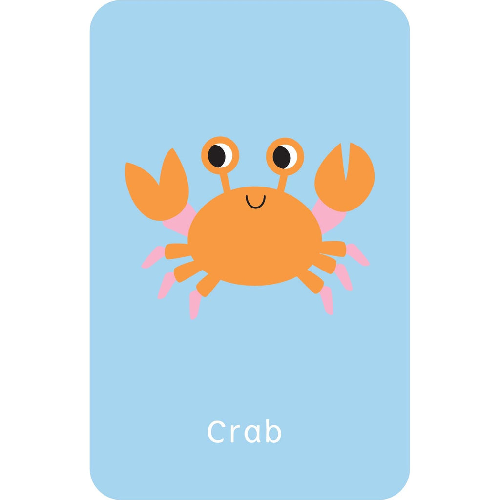 Little Genius Volume 2 - Snap Cards - Go Fish