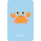Little Genius Volume 2 - Snap Cards - Go Fish