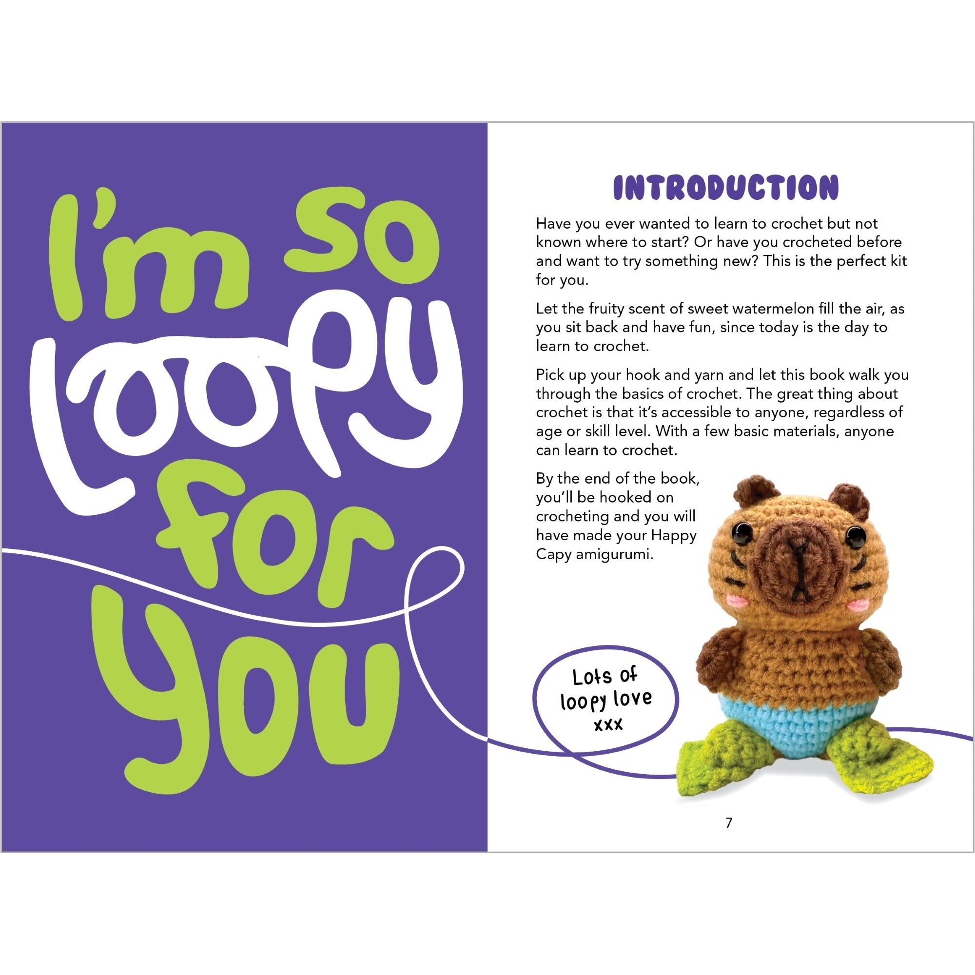 Loopy Crochet Book and Kit - Happy Capy