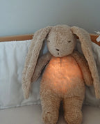 Organic Humming Bunny - Polar