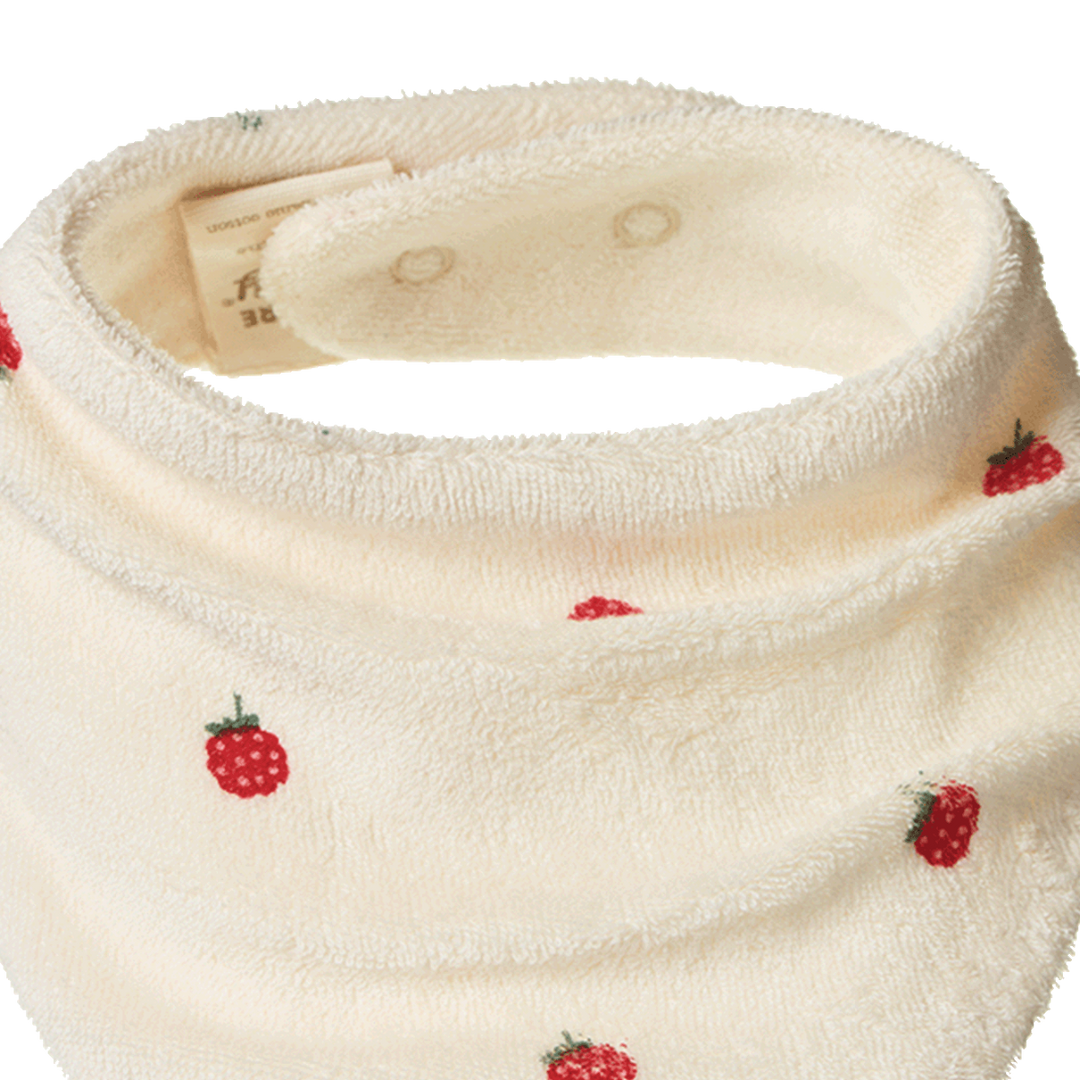 Nature Baby Triangle Bib Terry - Raspberry Print