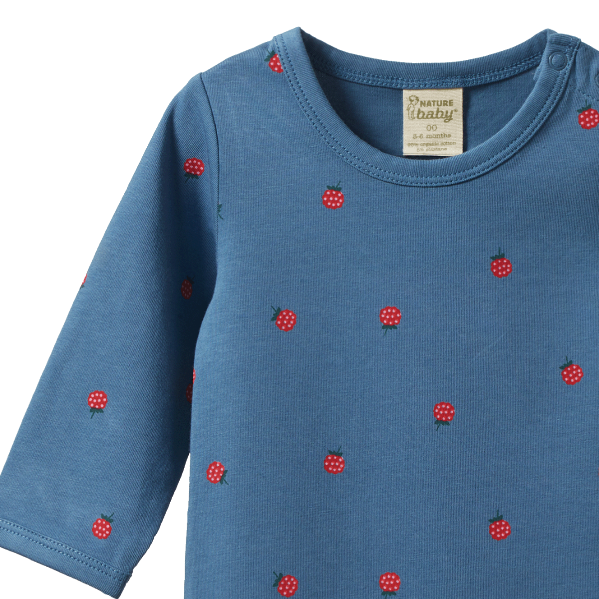 Nature Baby Stretch Jersey Long Sleeve Bodysuit - Raspberry Blue Print