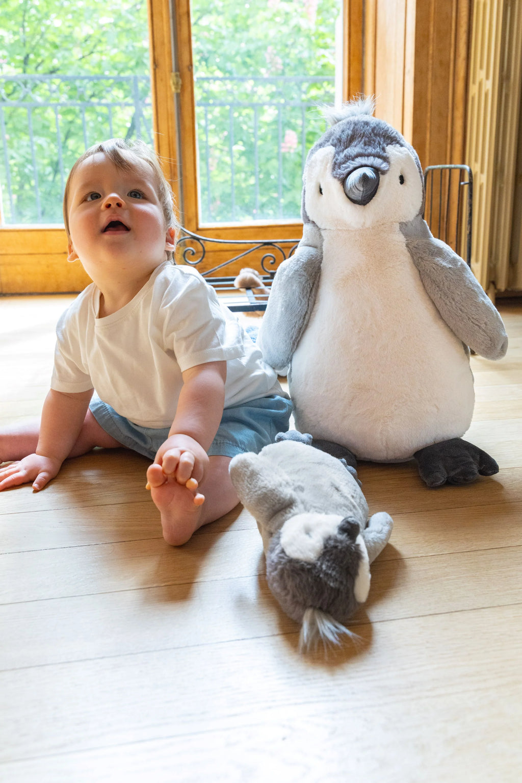 Paulo the Penguin