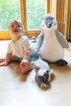 Paulo the Penguin