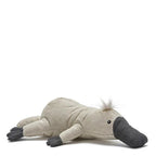 Pete the Platypus