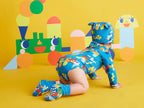 Long Sleeve Bodysuit - Rainbow Express