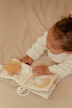 Goose Stroller Book