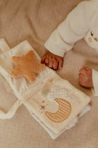 Goose Stroller Book