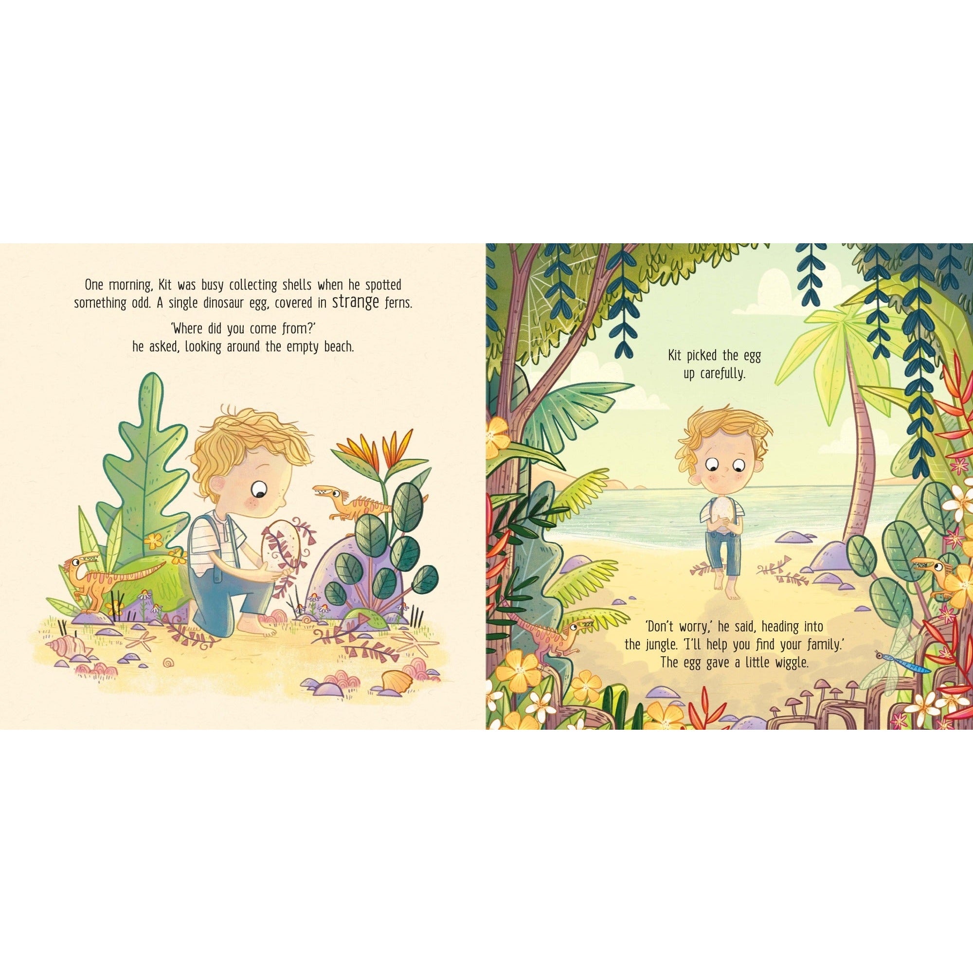 The Lost Dino Egg - Picture Book