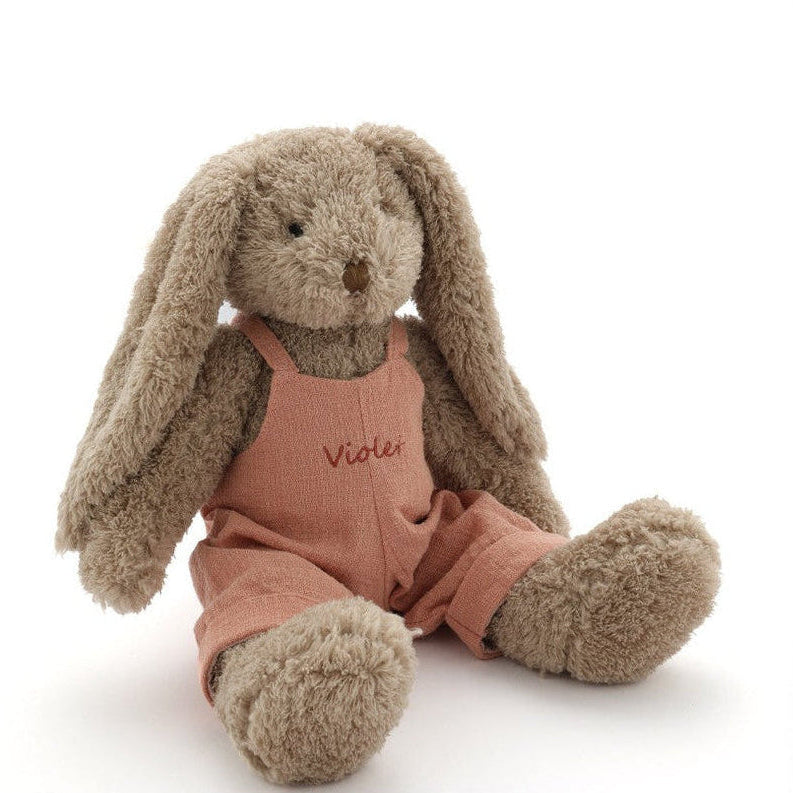 Personalised Mr Honey Bunny - Pink