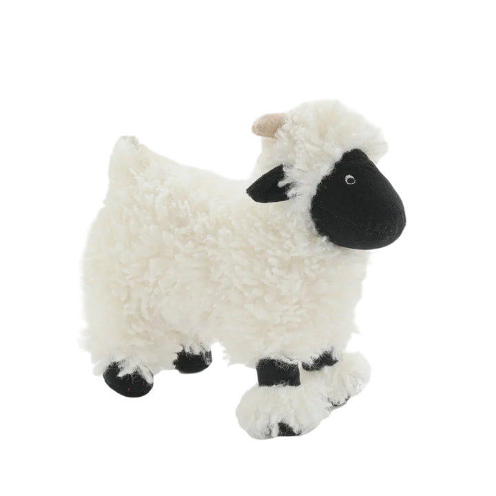 Valentina the Valais Sheep