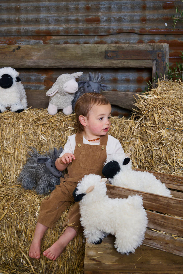 Valentina the Valais Sheep