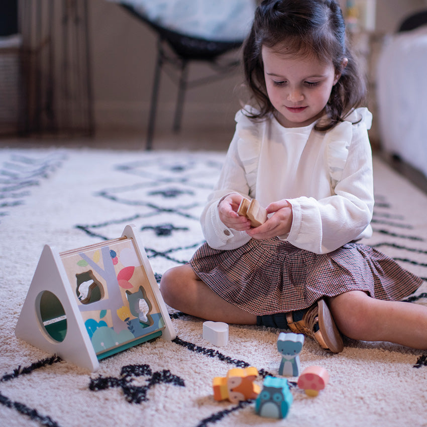 Pure Shape Sorter