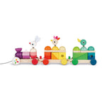 Giant Multicolour Train