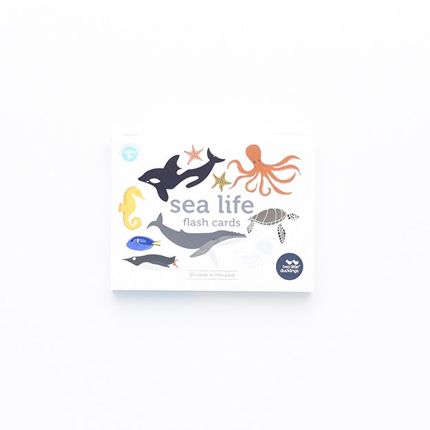 Flash Cards - Sea Life
