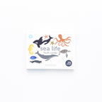 Flash Cards - Sea Life