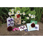 Flower Pressing Kit in a Tin