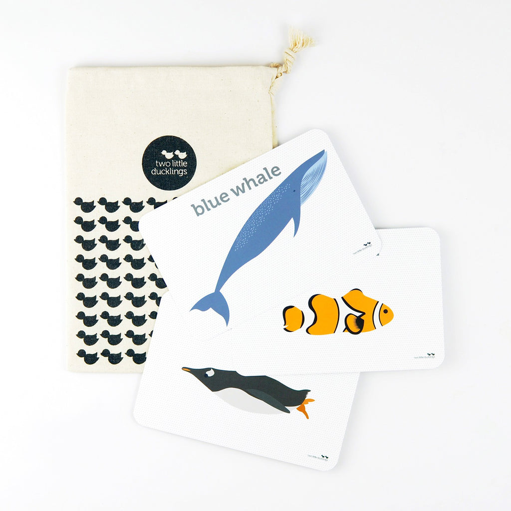 Flash Cards - Sea Life