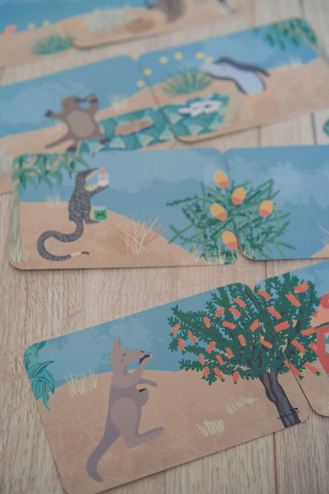 Snap and Memory Game - An Aussie Picnic