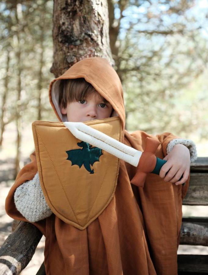 Dress-up Shield and Sword
