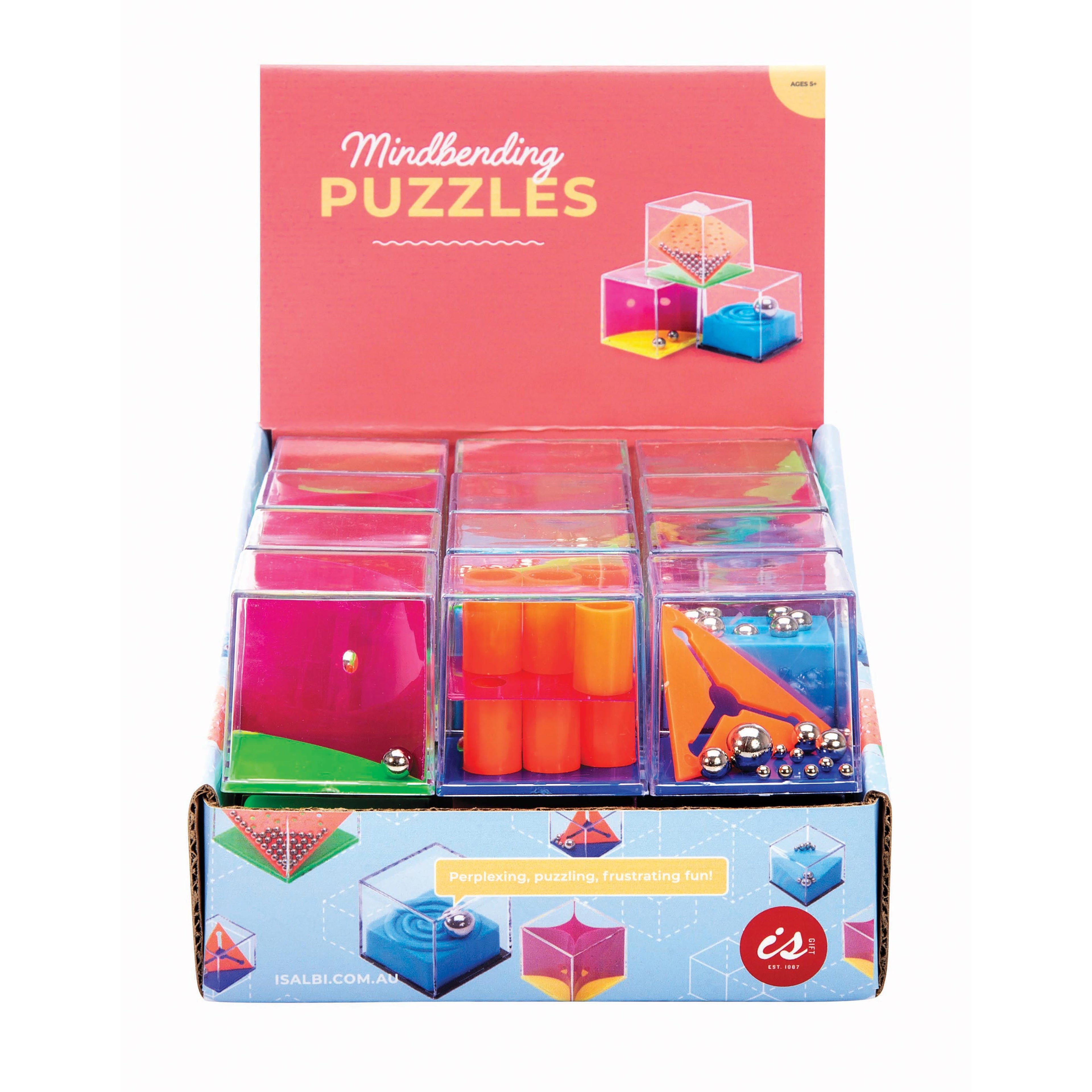 Mind Bending Puzzle - Assorted