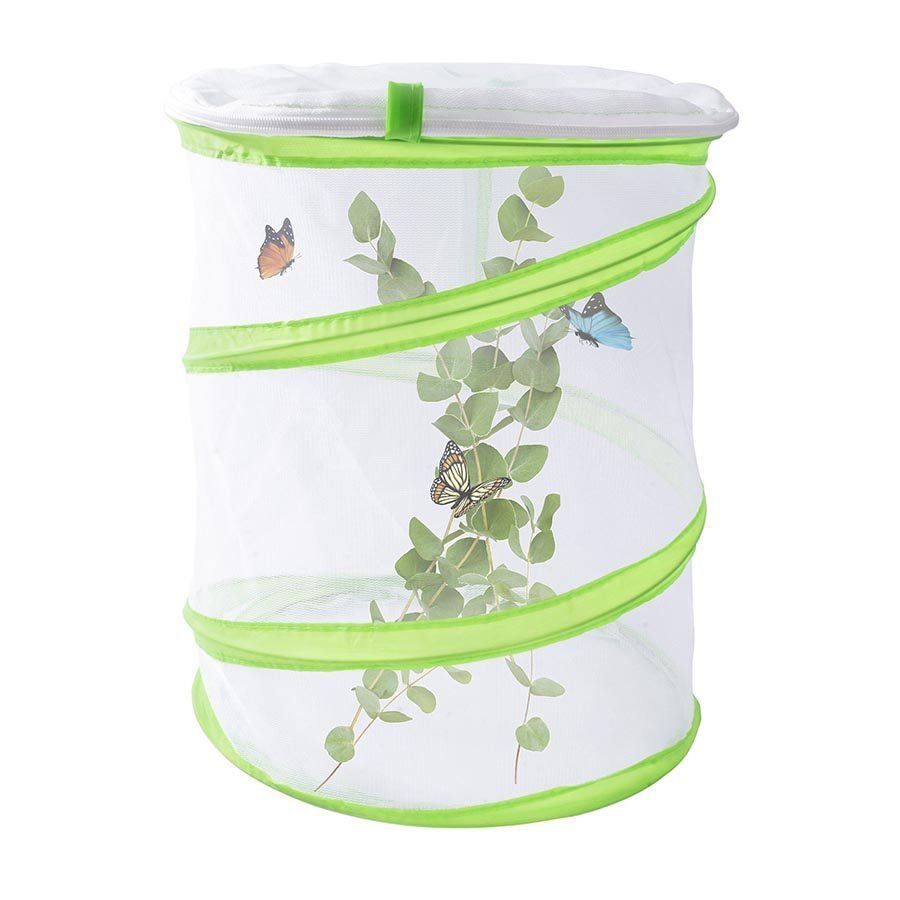 Discovery Zone - Butterfly Study Set