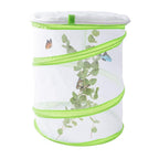 Discovery Zone - Butterfly Study Set