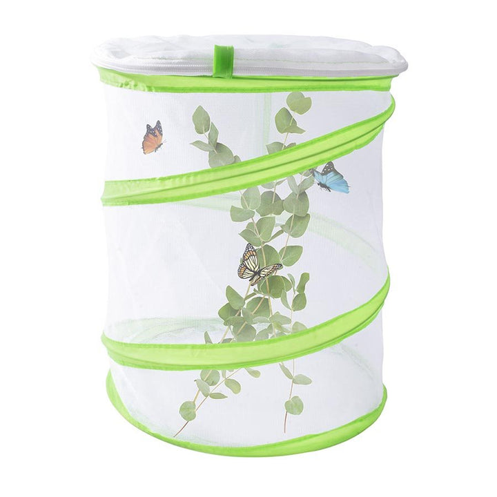 Discovery Zone - Butterfly Study Set