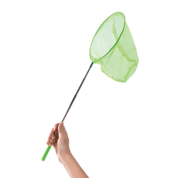 Discovery Zone - Butterfly Study Set