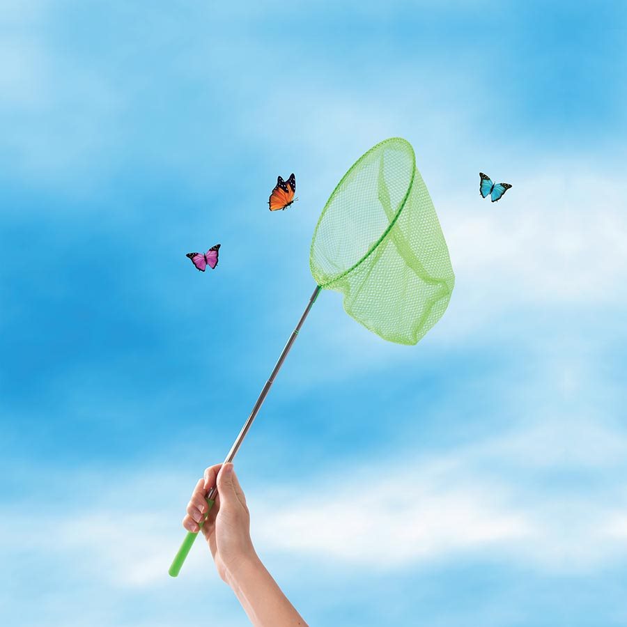 Discovery Zone - Butterfly Study Set