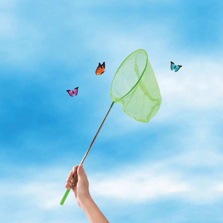 Discovery Zone - Butterfly Study Set