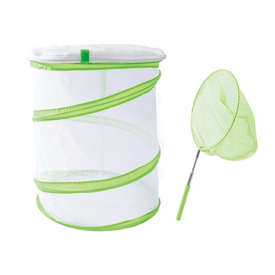 Discovery Zone - Butterfly Study Set